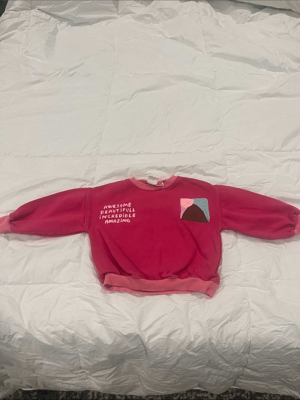 Zara Pink Graphic Crewneck Sweatshirt for Kids